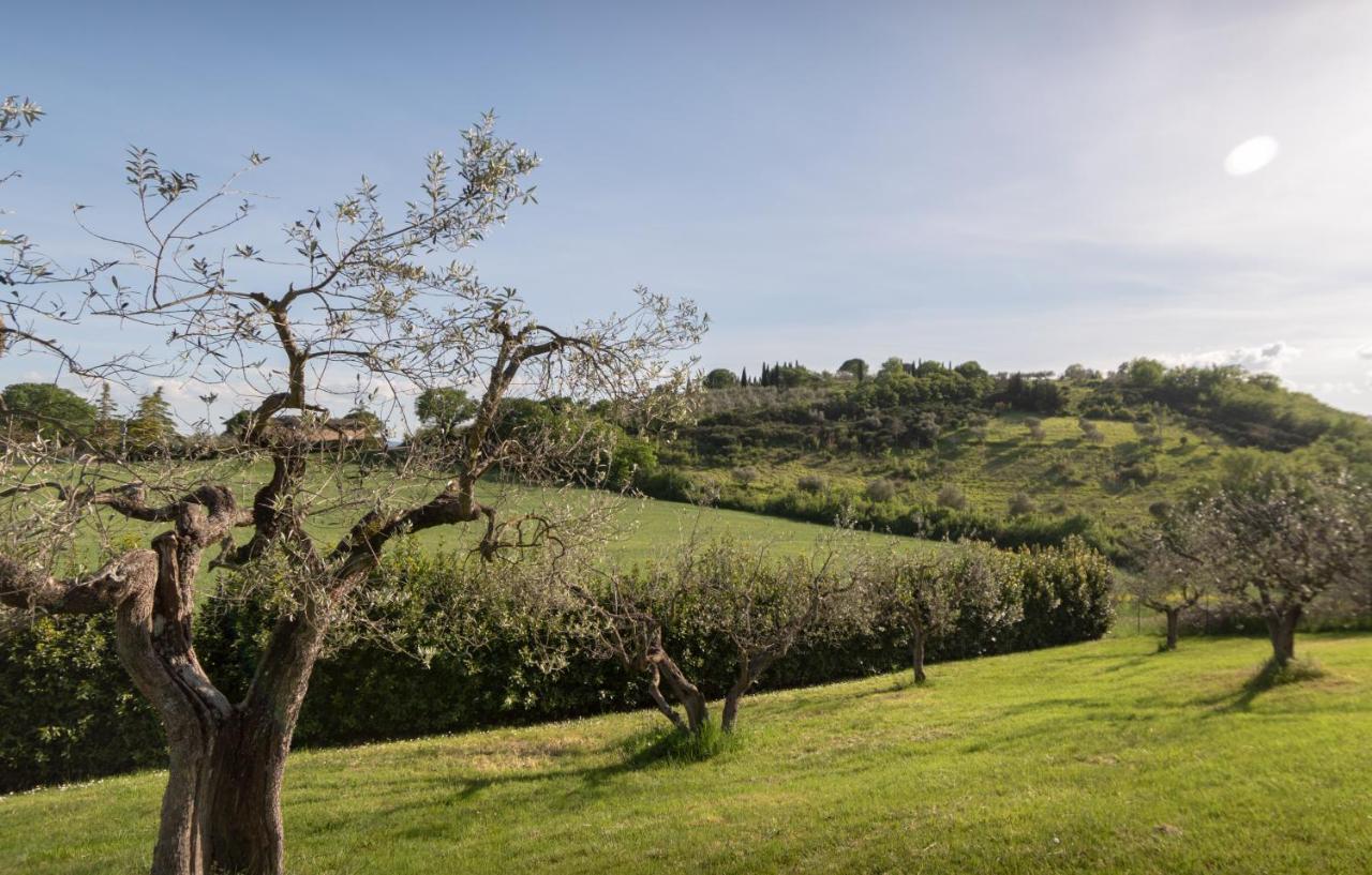Residenza Il Falchetto Assisi Eksteriør billede