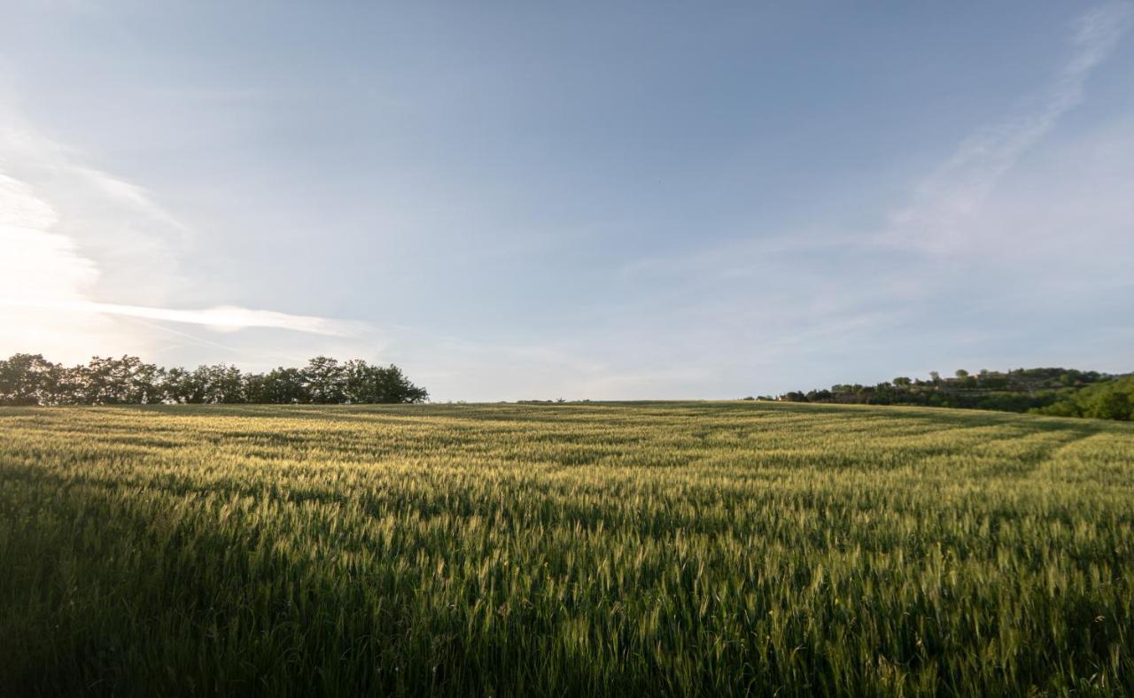 Residenza Il Falchetto Assisi Eksteriør billede
