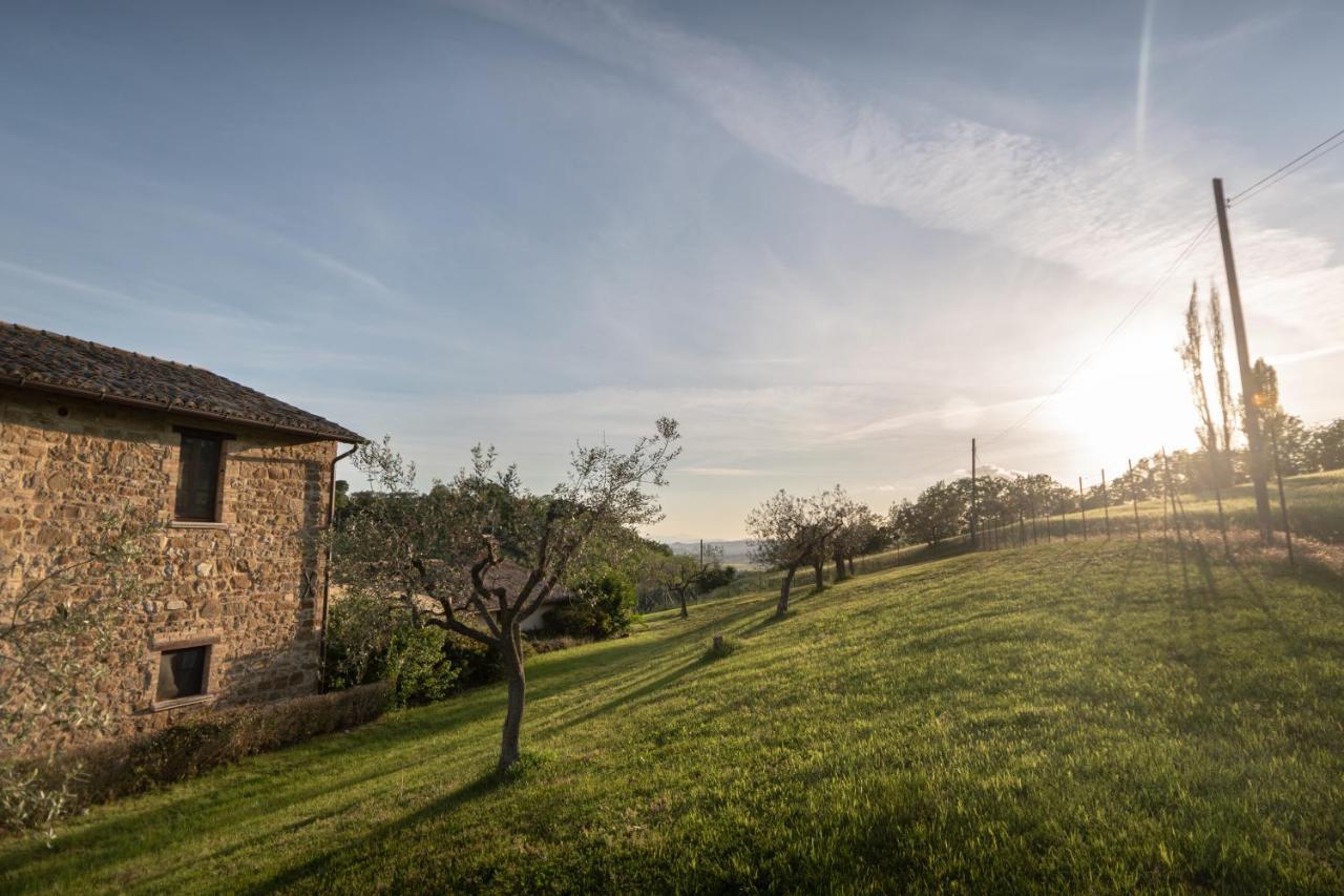 Residenza Il Falchetto Assisi Eksteriør billede