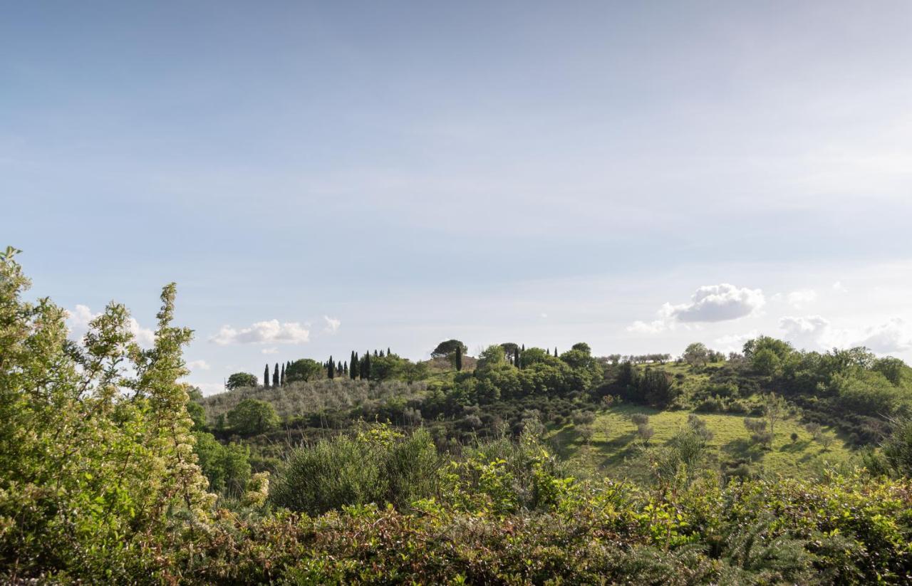 Residenza Il Falchetto Assisi Eksteriør billede