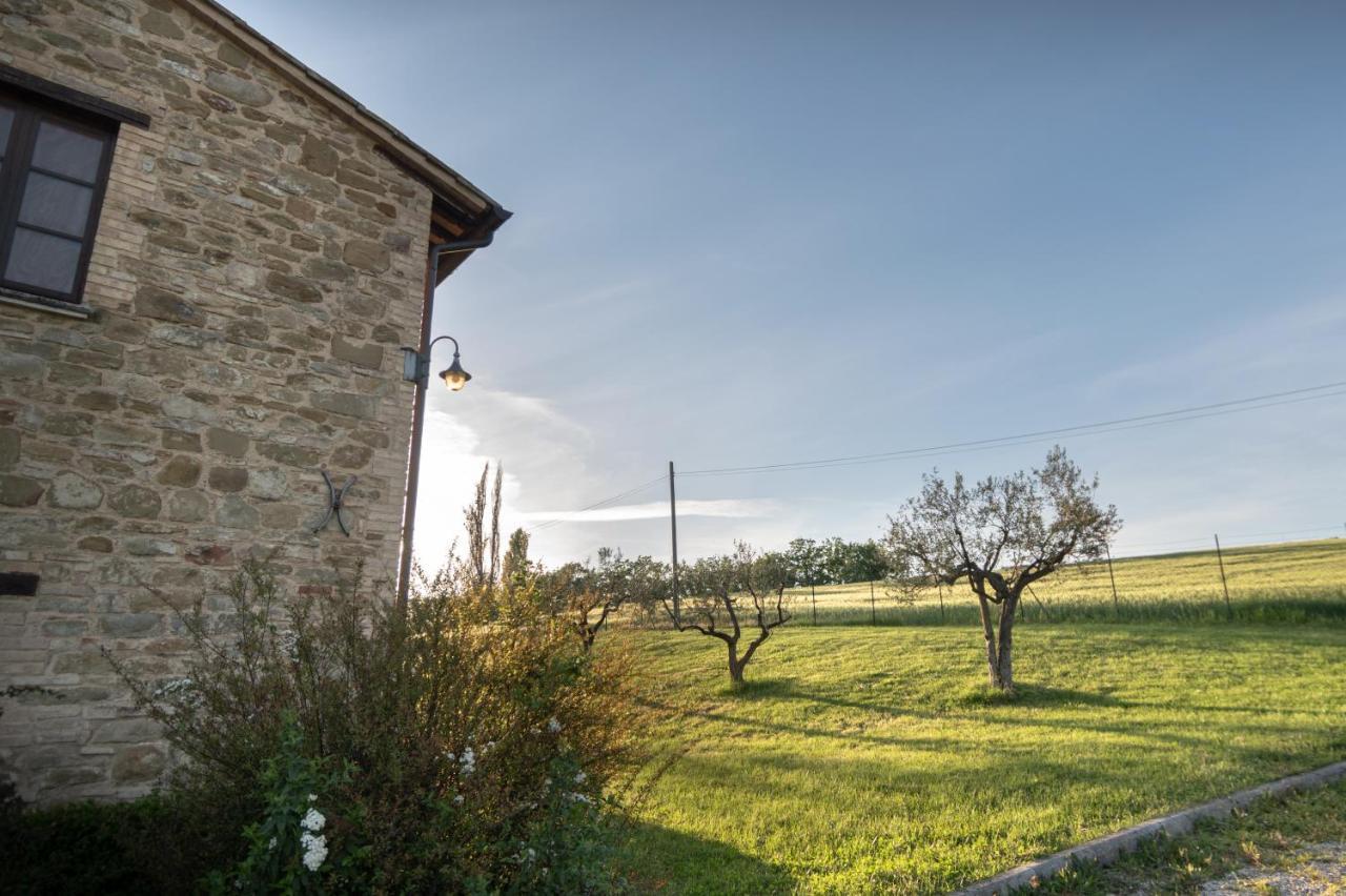 Residenza Il Falchetto Assisi Eksteriør billede